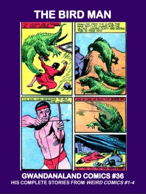 cover image of The Bird Man